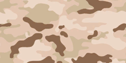 Camouflage Desert